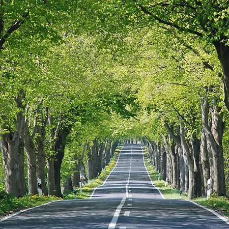 Gutshaus_appartements Mit Kamin_ S Coldevitz